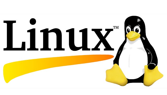 Qu’est-ce que l’hébergement Linux ?