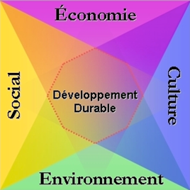 Quelles sont les 4 piliers du développement durable ?